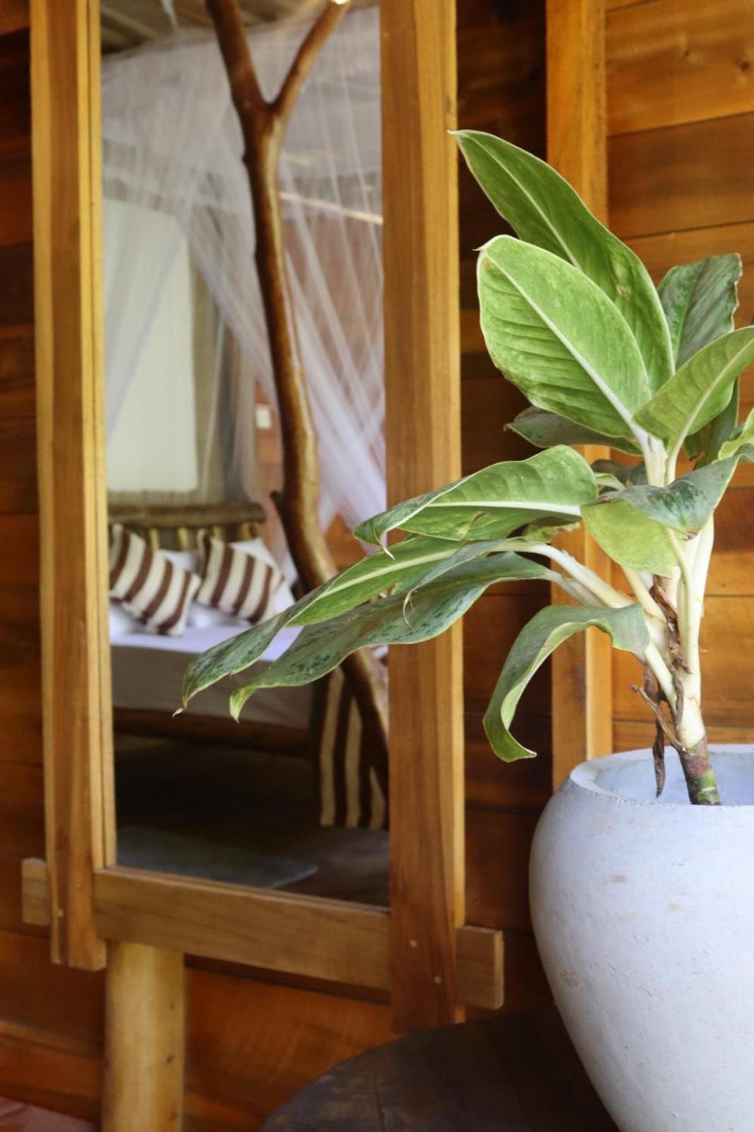 Wood Palace Ella Ngoại thất bức ảnh