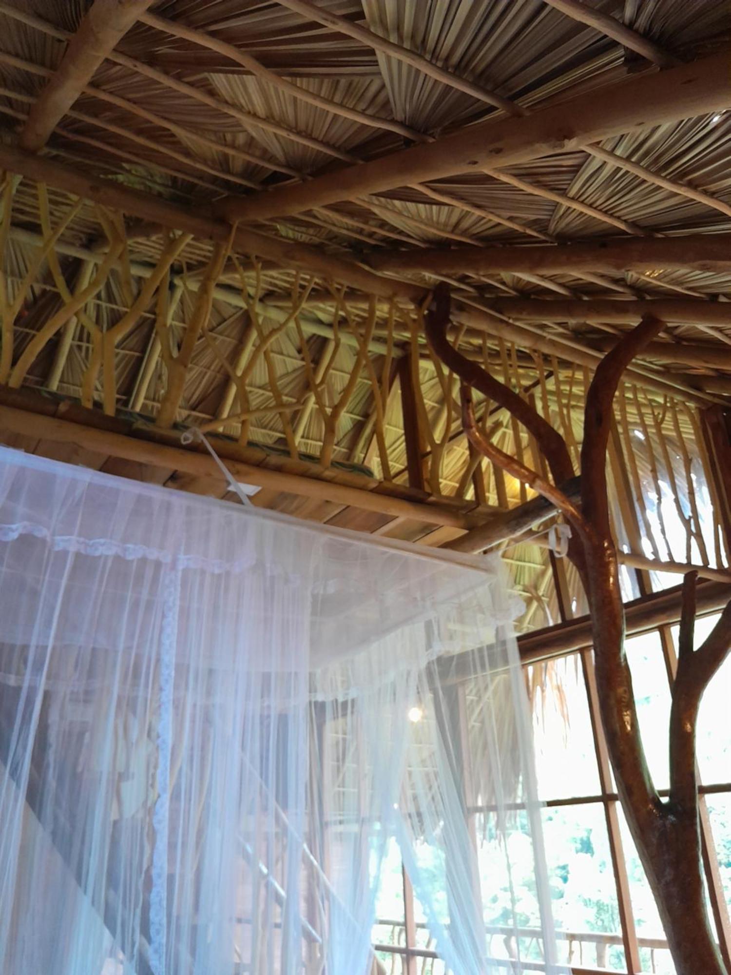 Wood Palace Ella Ngoại thất bức ảnh