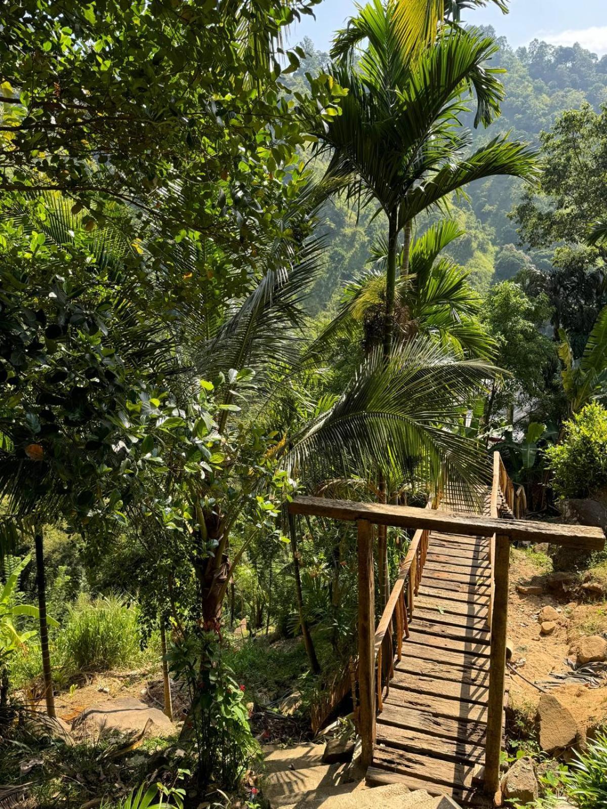Wood Palace Ella Ngoại thất bức ảnh